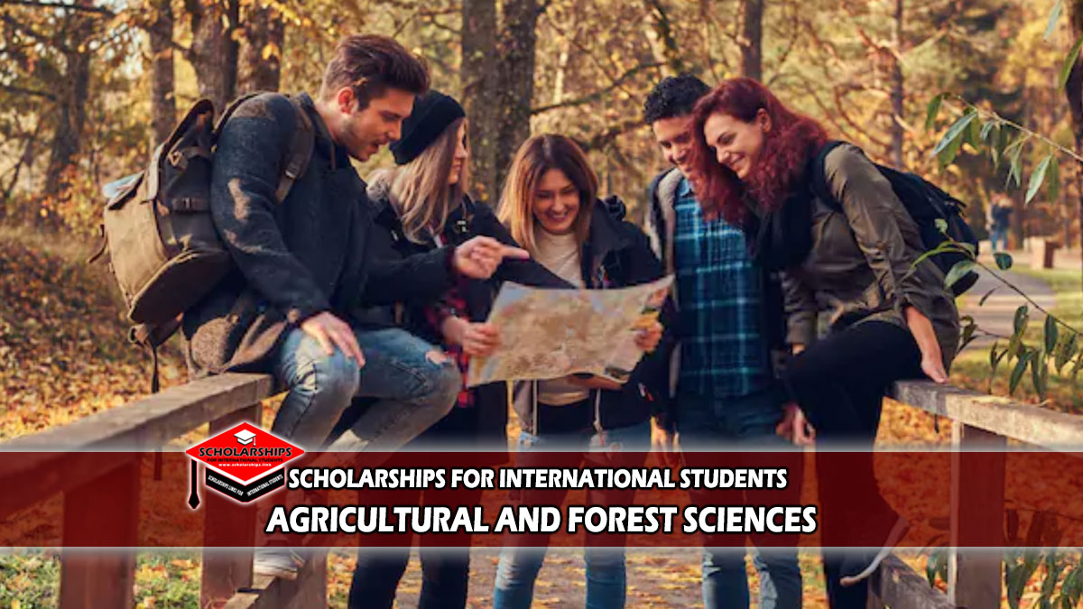 DAAD 2020 Scholarship for Agricultural and Forest Sciences - Germany -  Scholarships