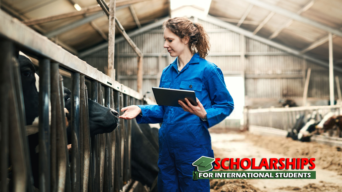 Dairy Farming and Entrepreneurship Training Scholarships Netherlands