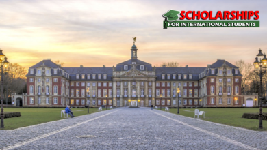 DAAD Scholarship in Germany 2023-24 Fully Funded